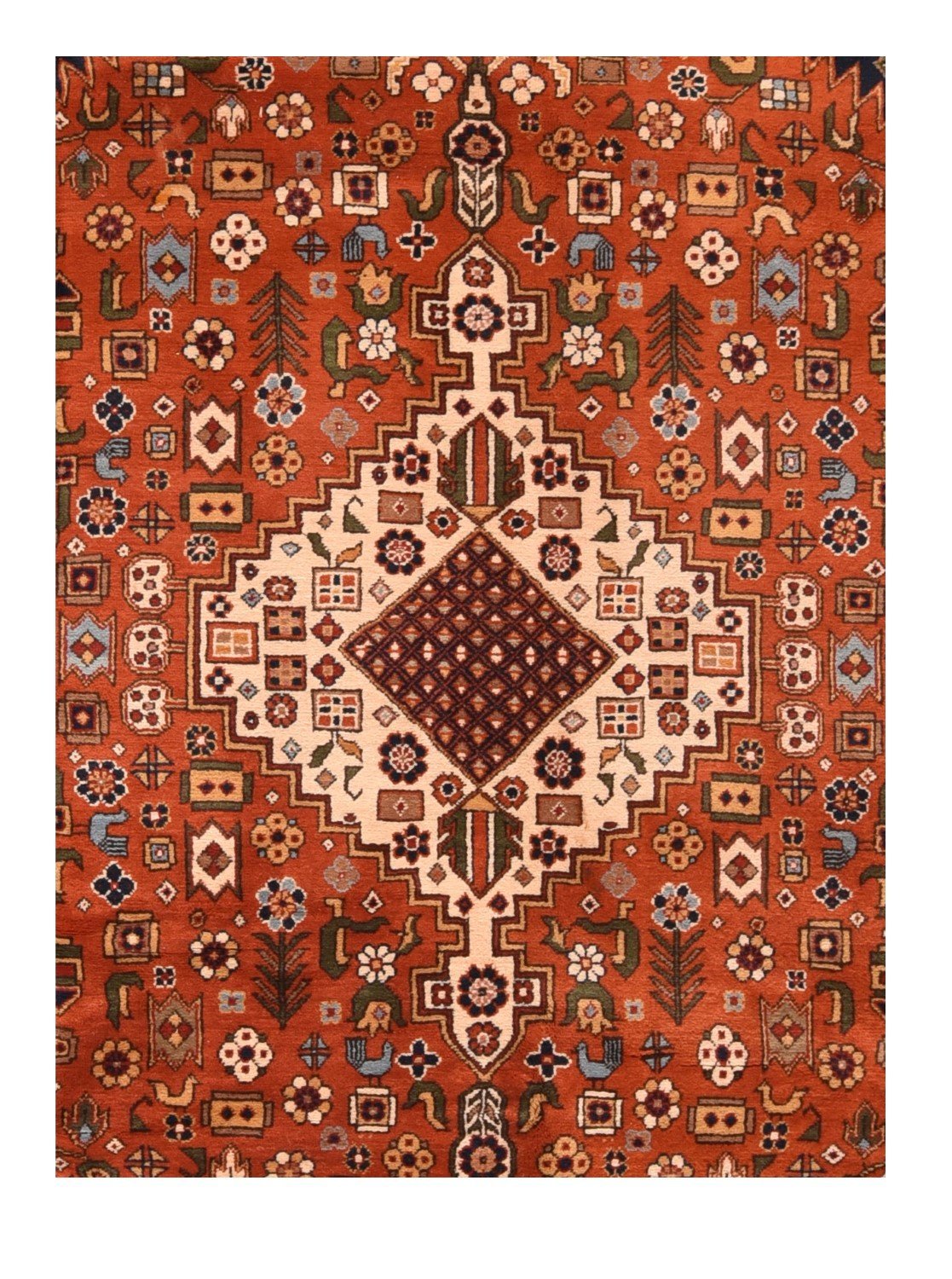 Area Rug 1736