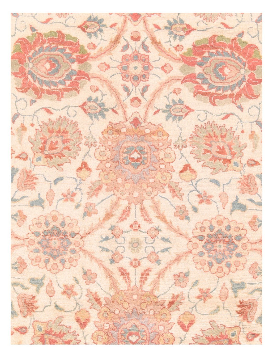 Area Rug 1748