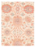 Area Rug 1748