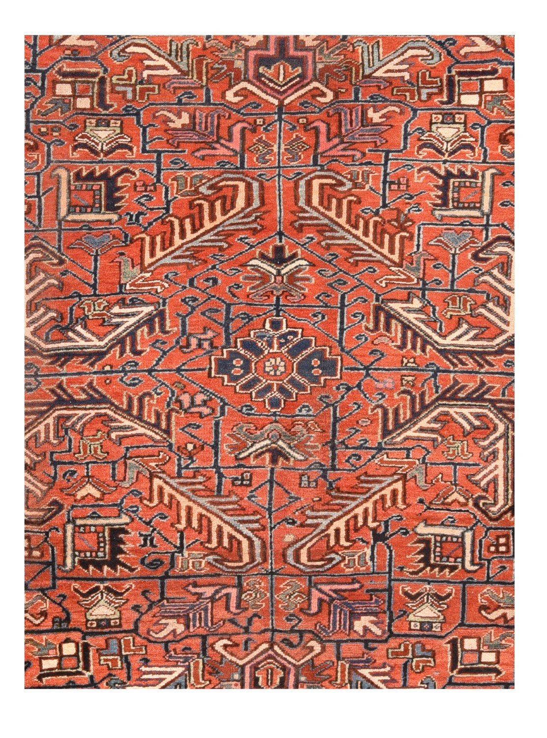 Area Rug 1761