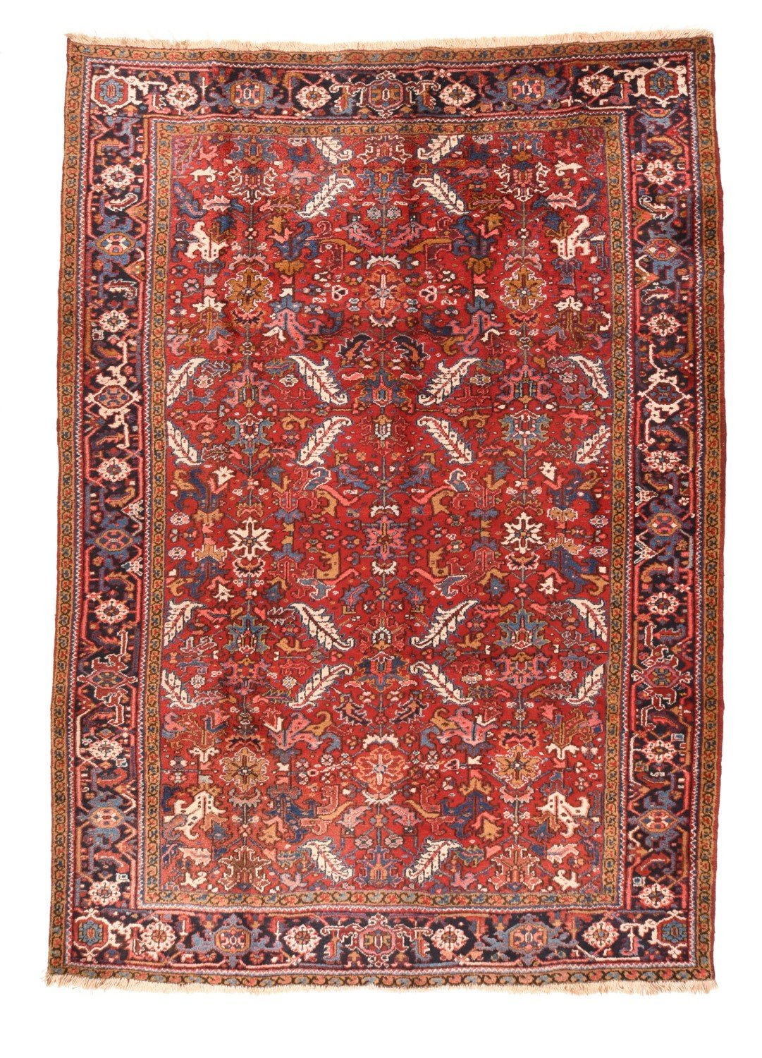 Area Rug 1764