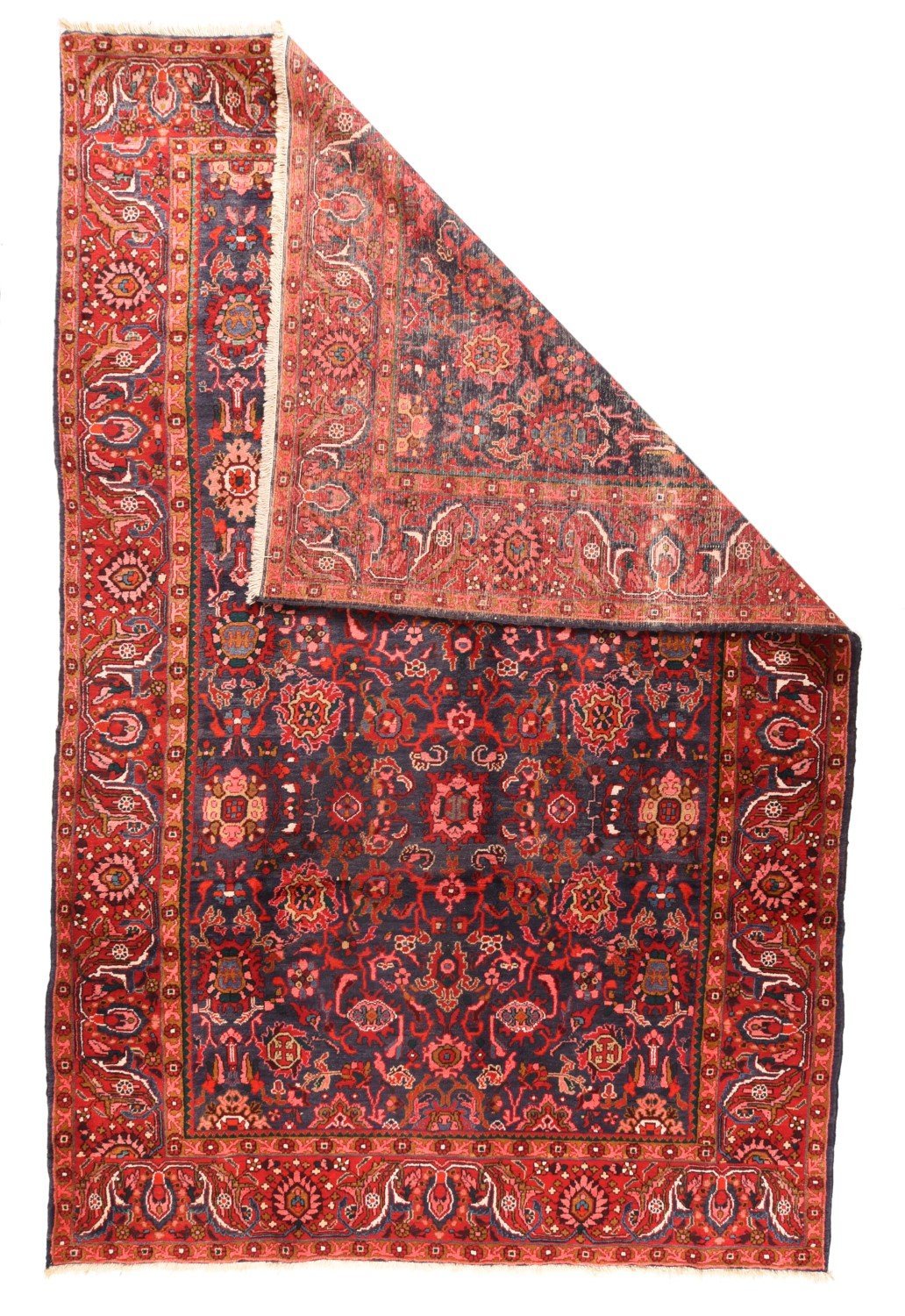 Area Rug 1765