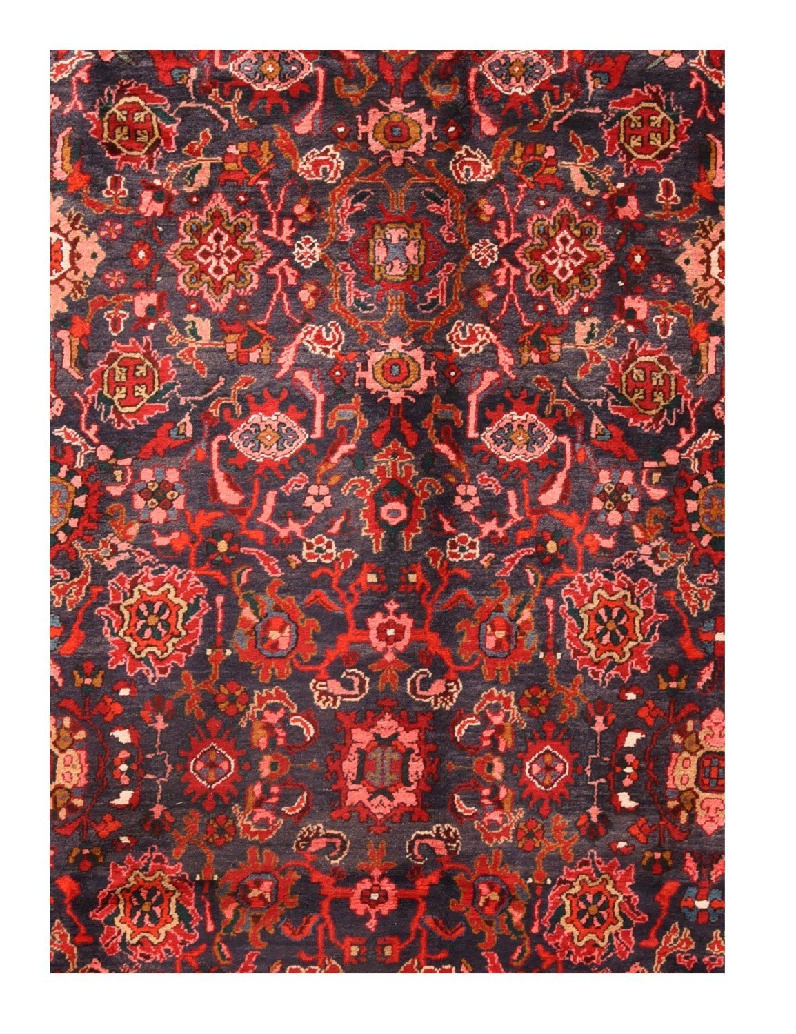 Area Rug 1765