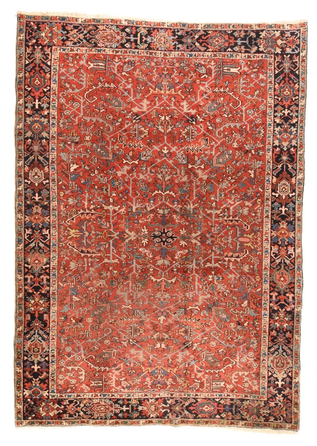 Area Rug 1767