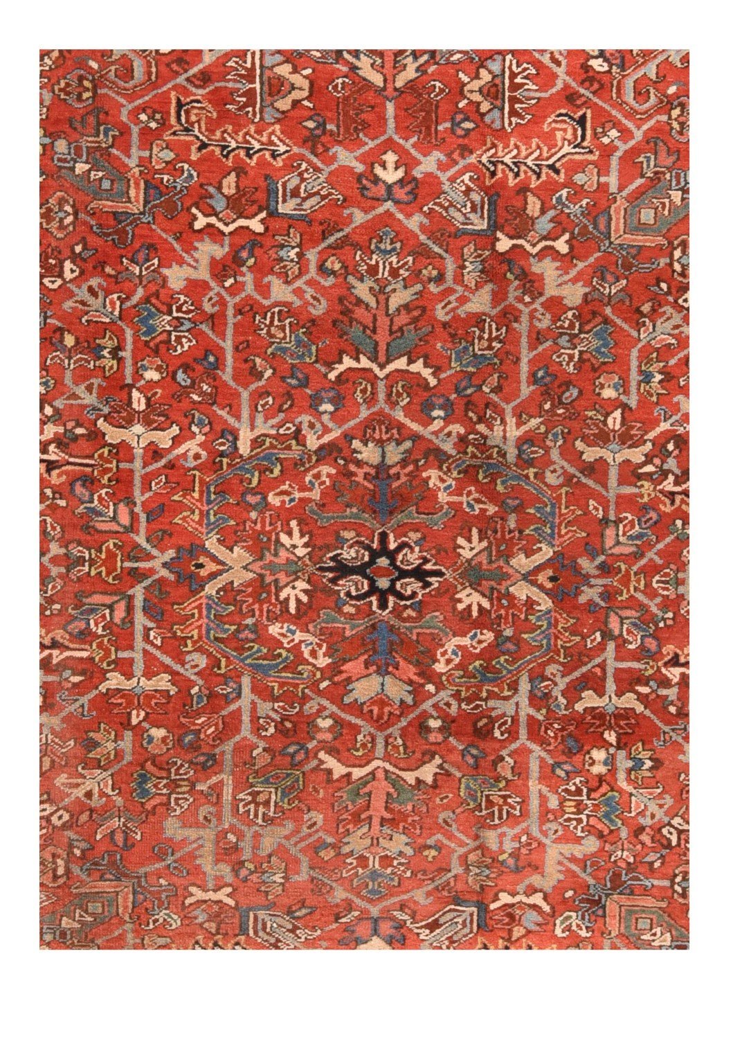 Area Rug 1767