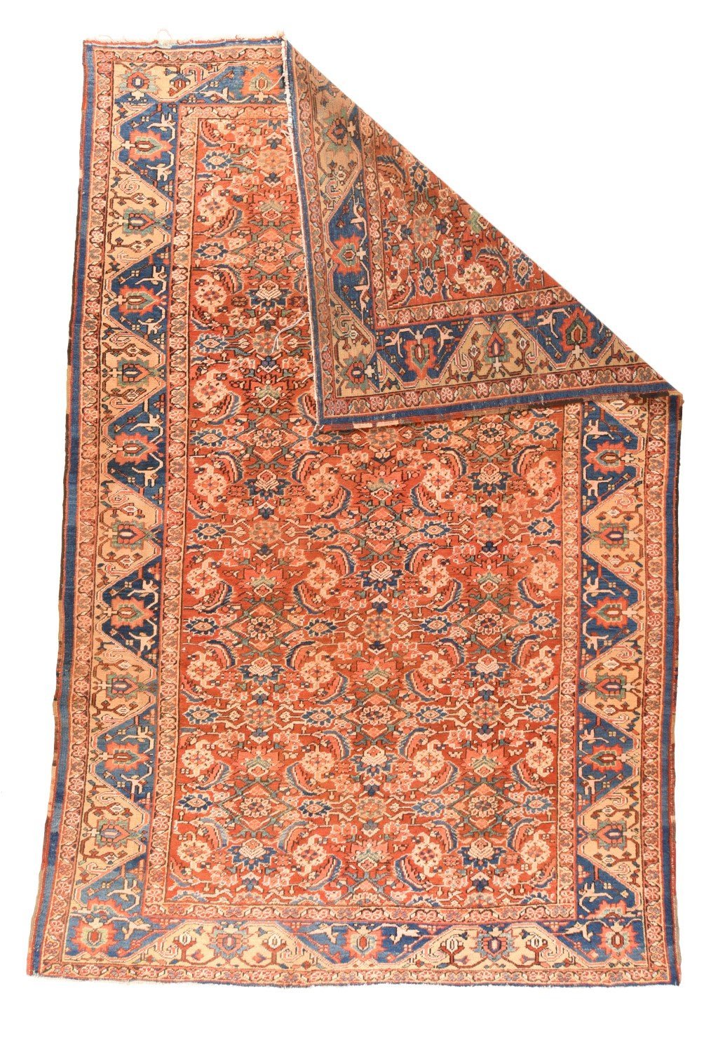 Area Rug 1773