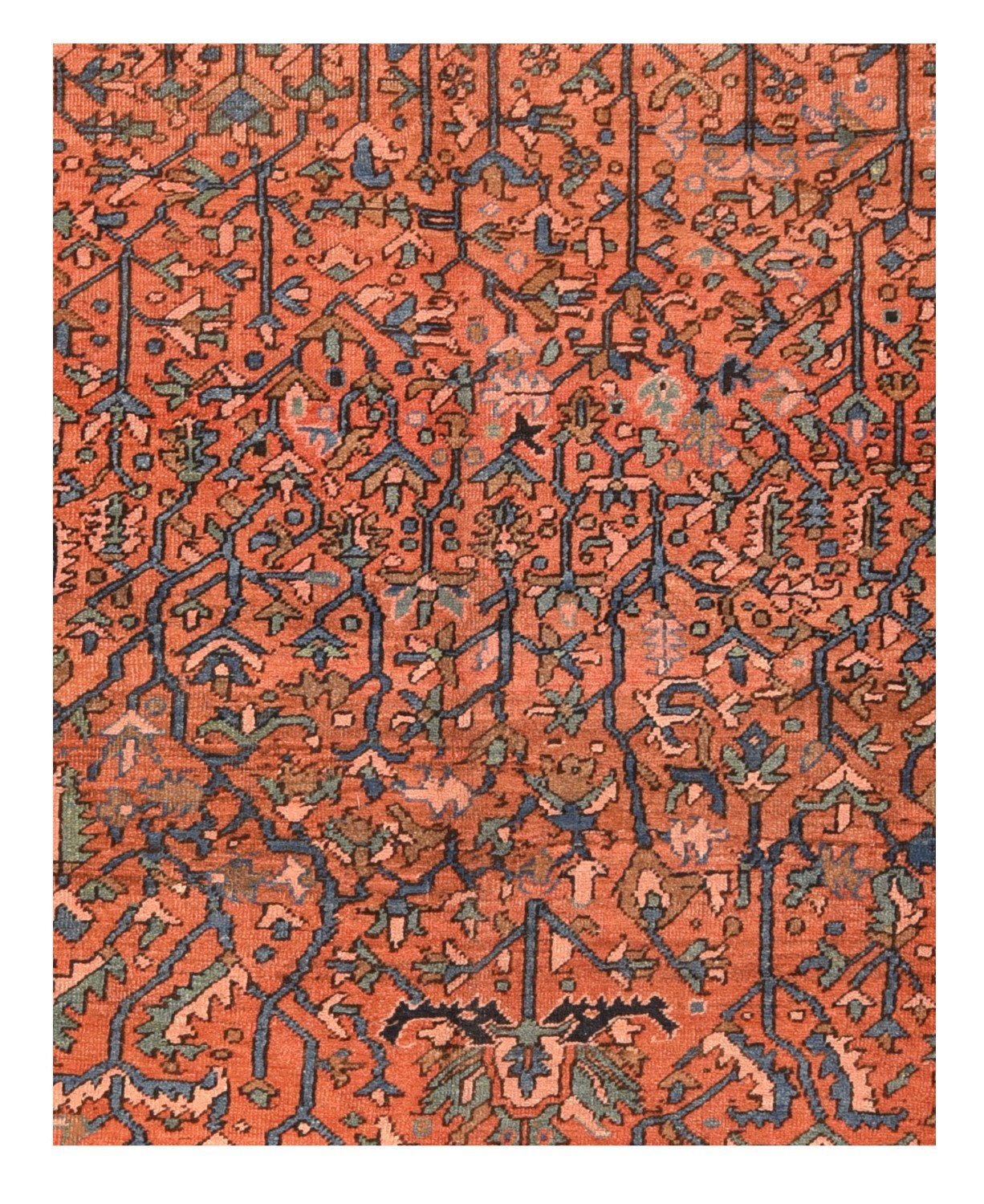 Area Rug 1792