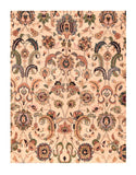 Area Rug 1795