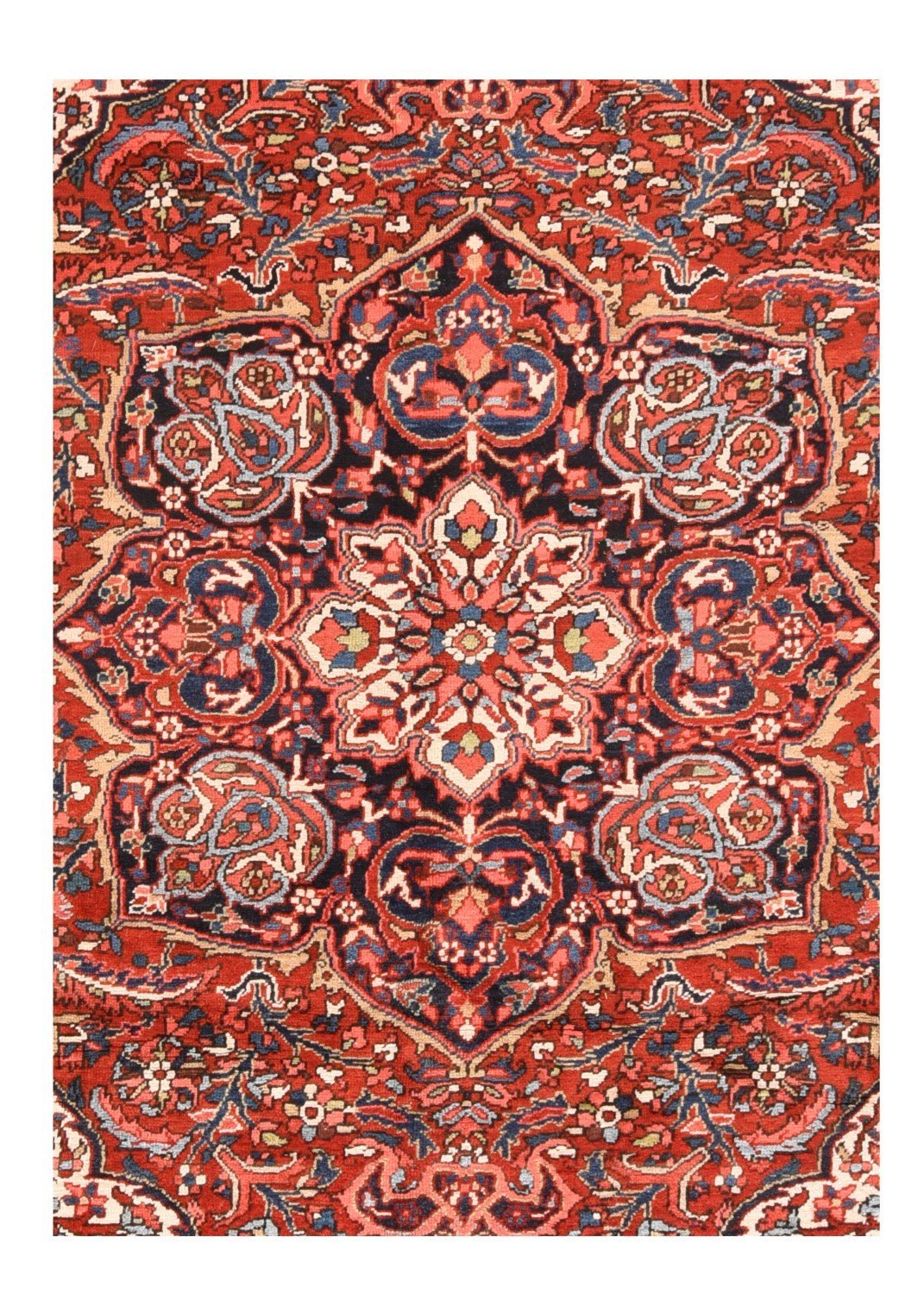 Area Rug 1798