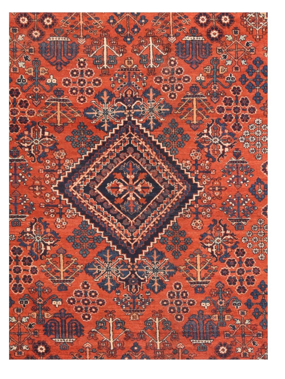 Area Rug 1813