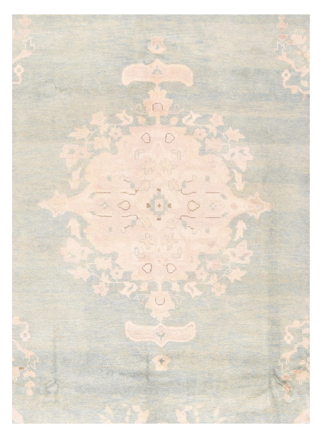 Area Rug 1827