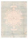 Area Rug 1827