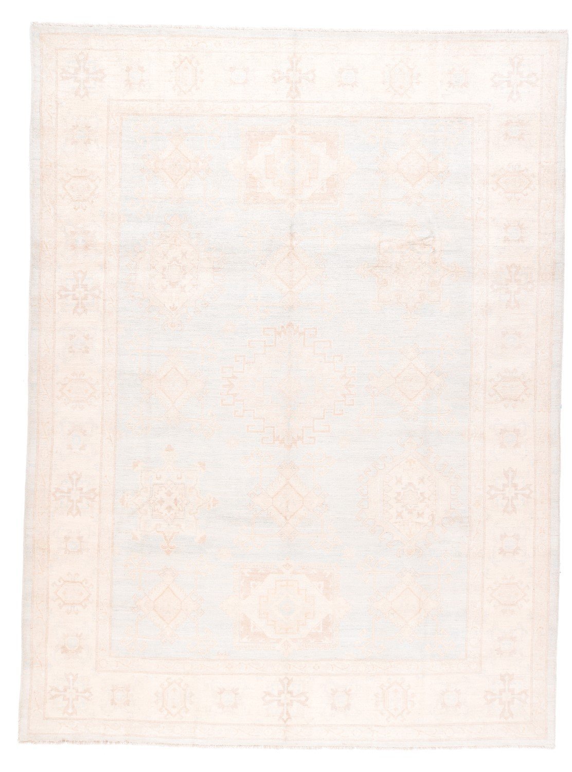 Area Rug 1829