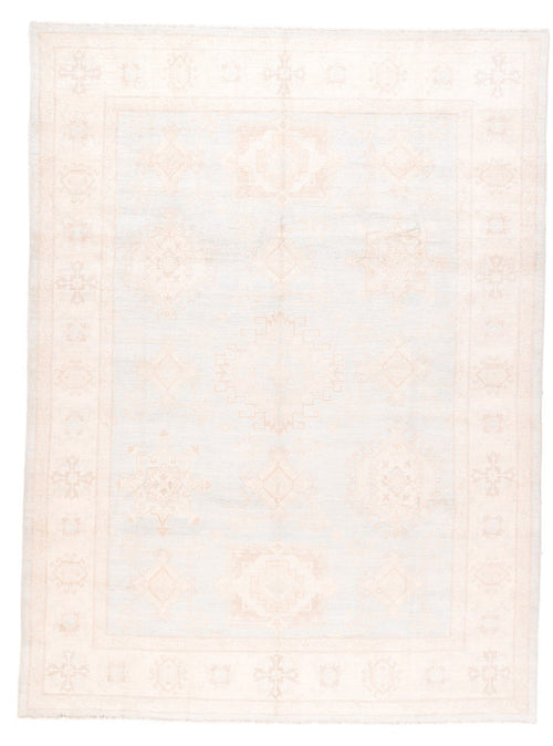 Area Rug 1829