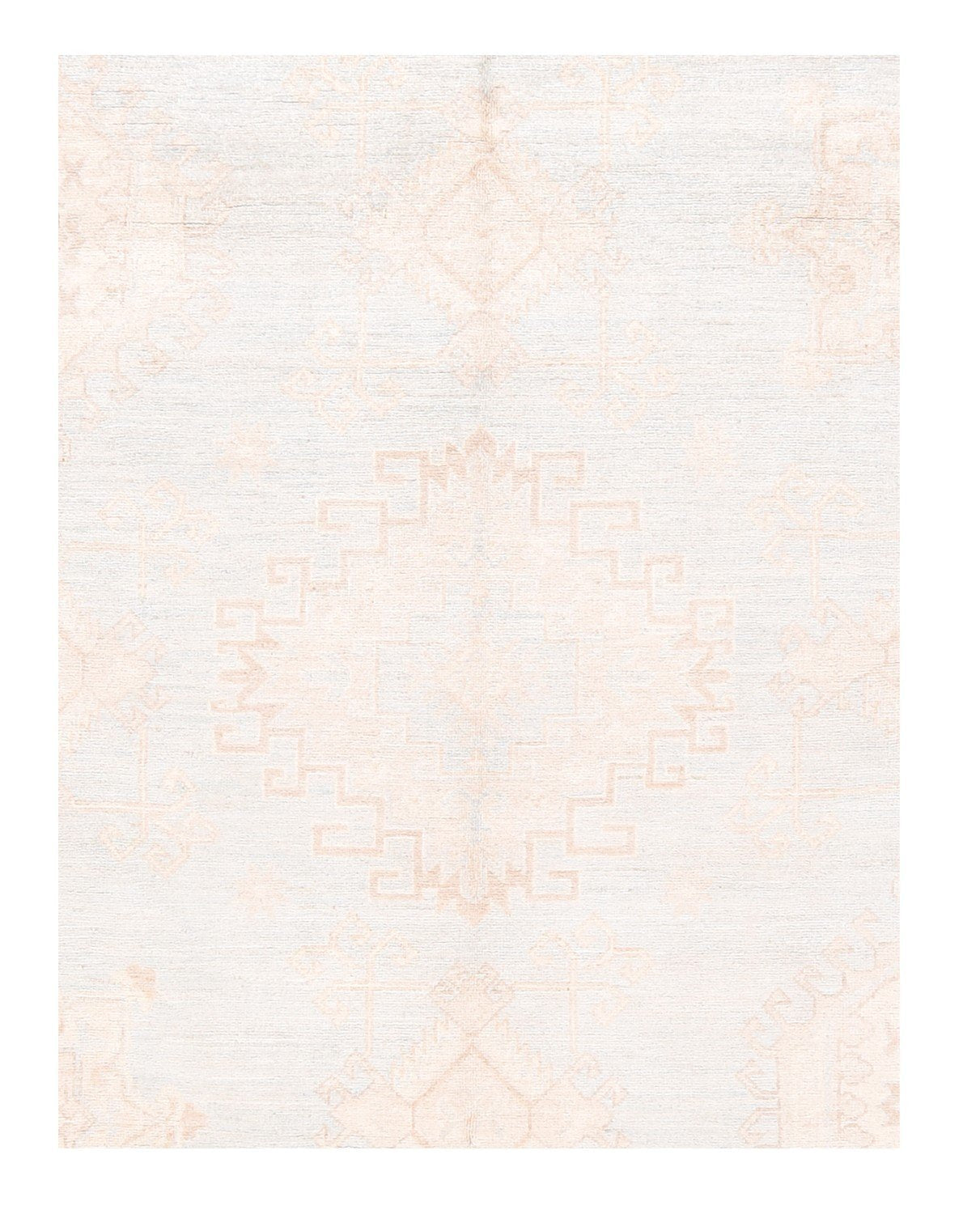 Area Rug 1829