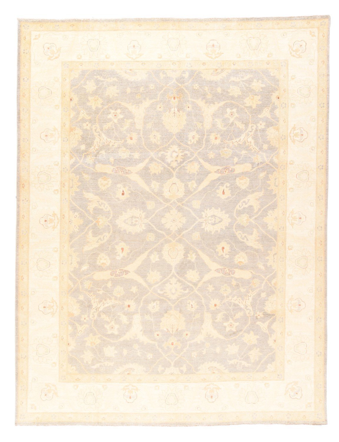 Area Rug 1834