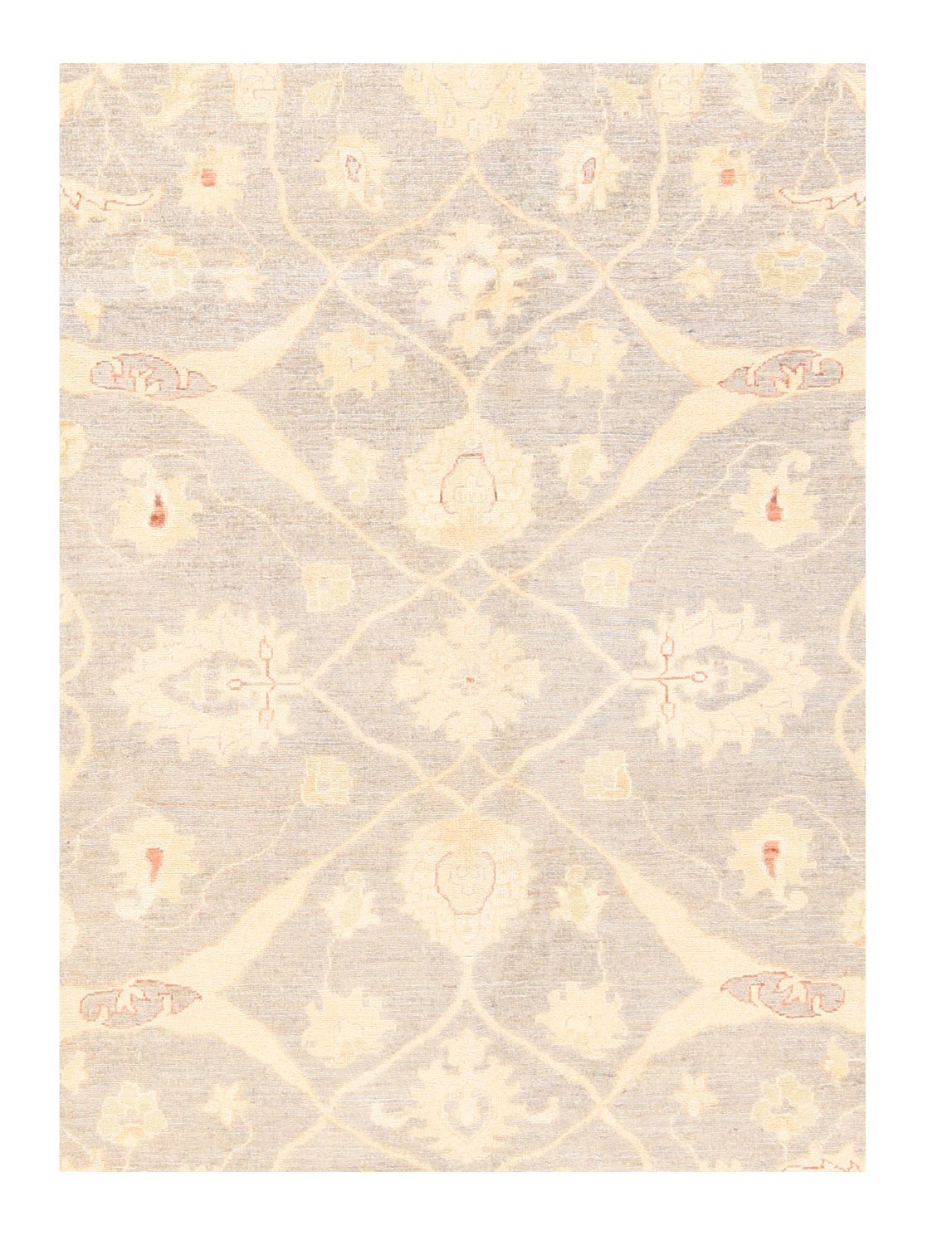 Area Rug 1834