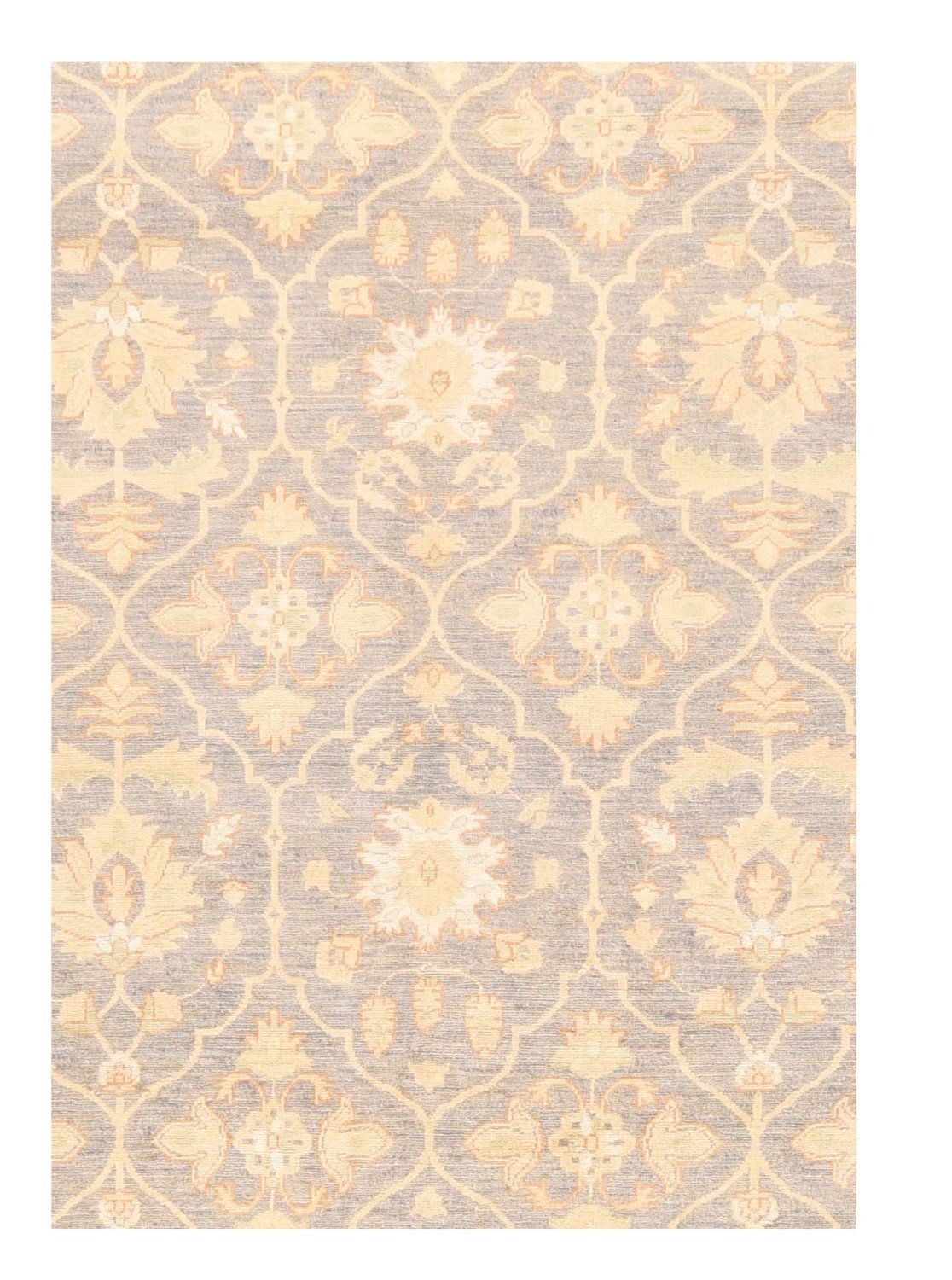 Area Rug 1838