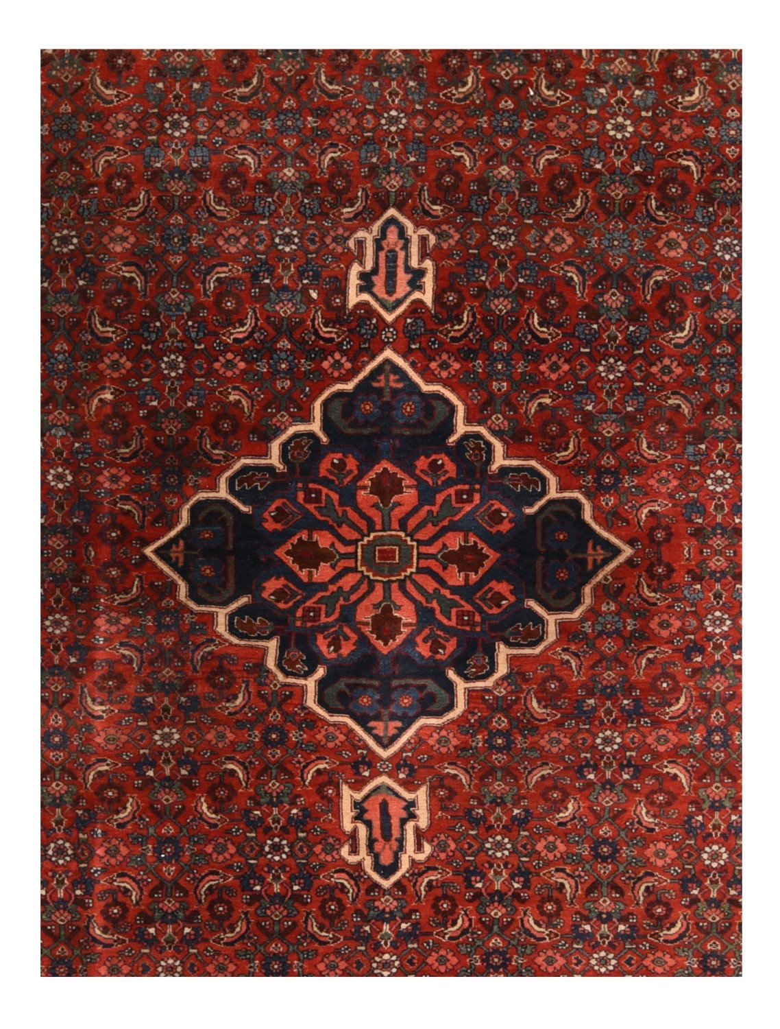 Area Rug 1856
