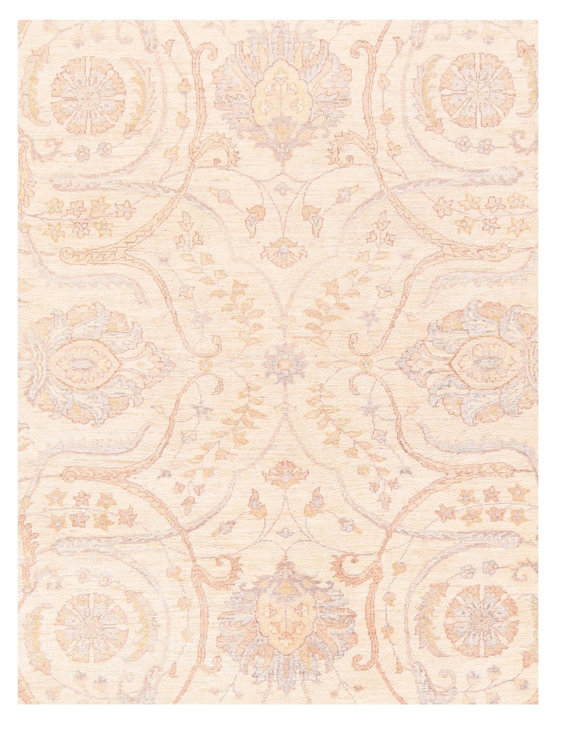 Area Rug 1857