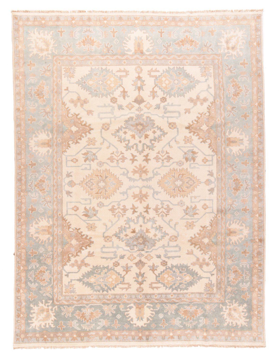 Area Rug 1861