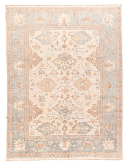 Area Rug 1861