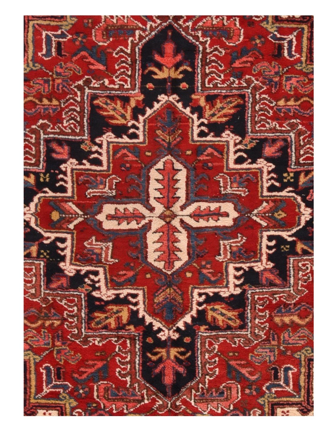 Area Rug 1890