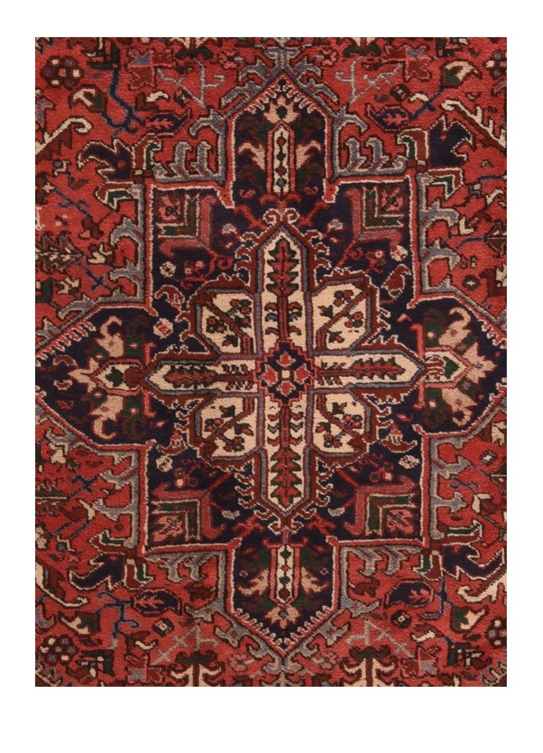 Area Rug 1901