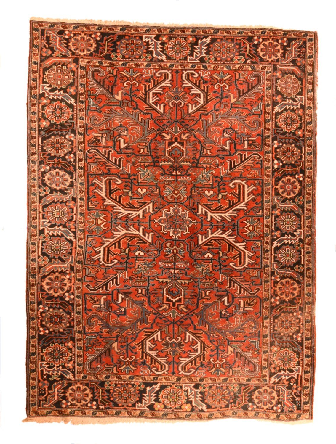 Area Rug 1921