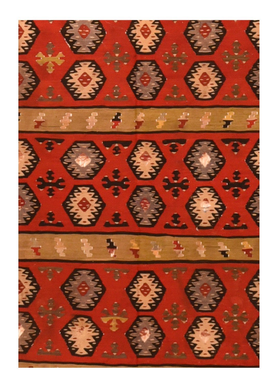 Area Rug 1956