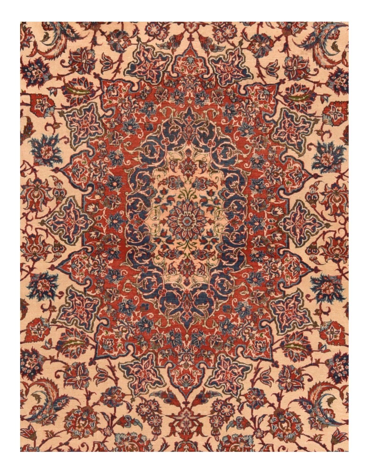 Area Rug 2012