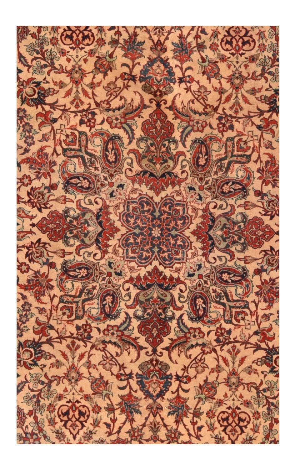 Area Rug 2016