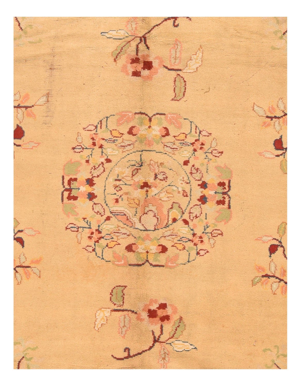 Area Rug 2031