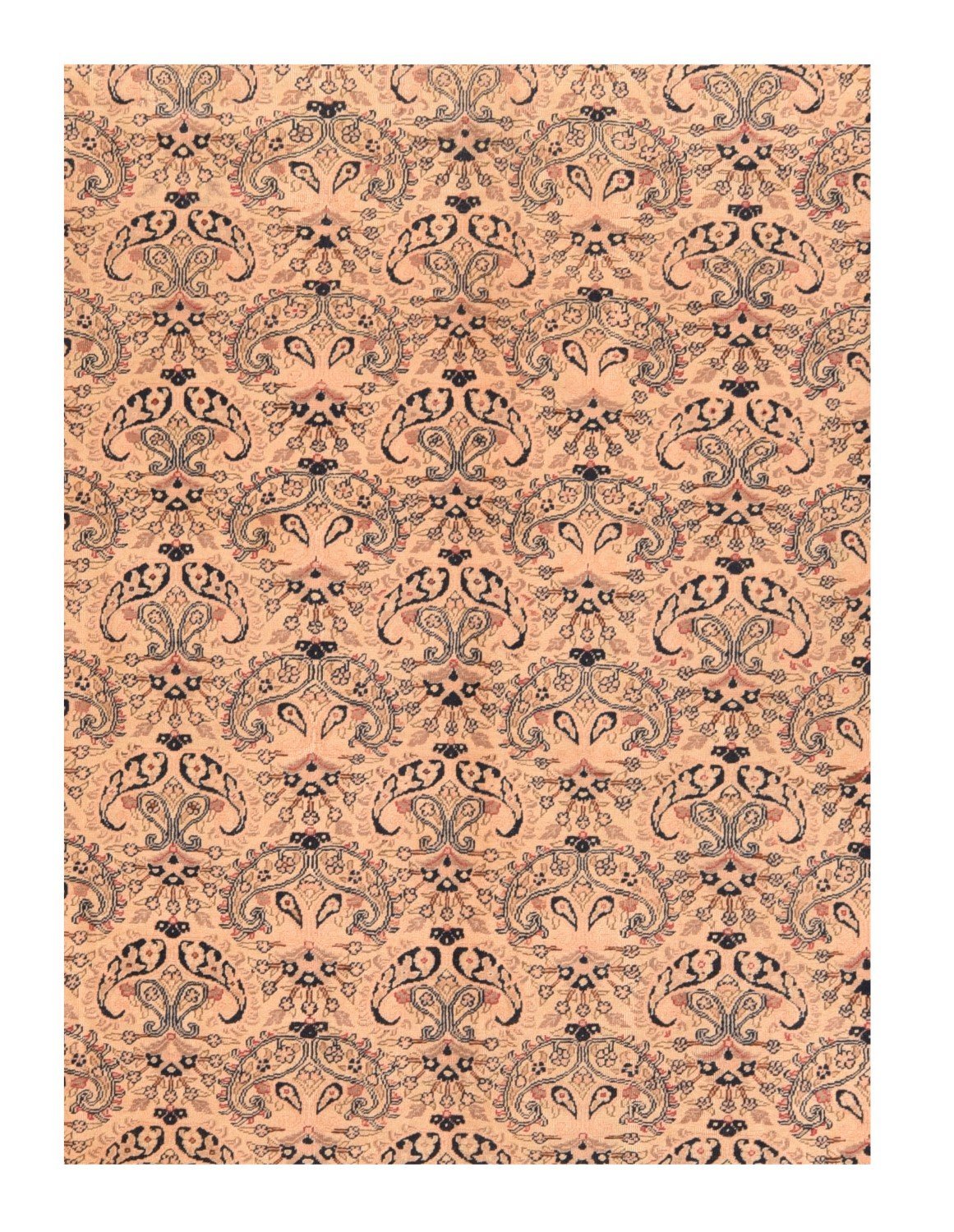 Area Rug 2046