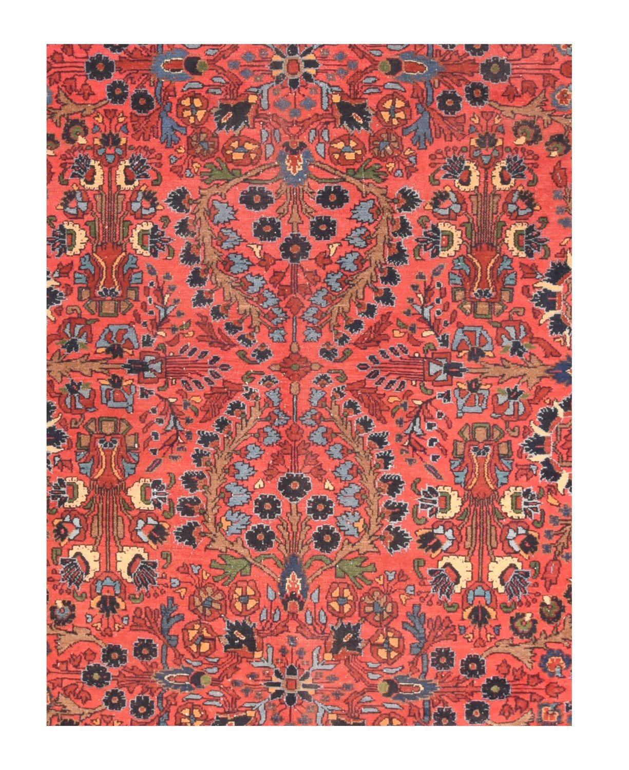 Area Rug 2056