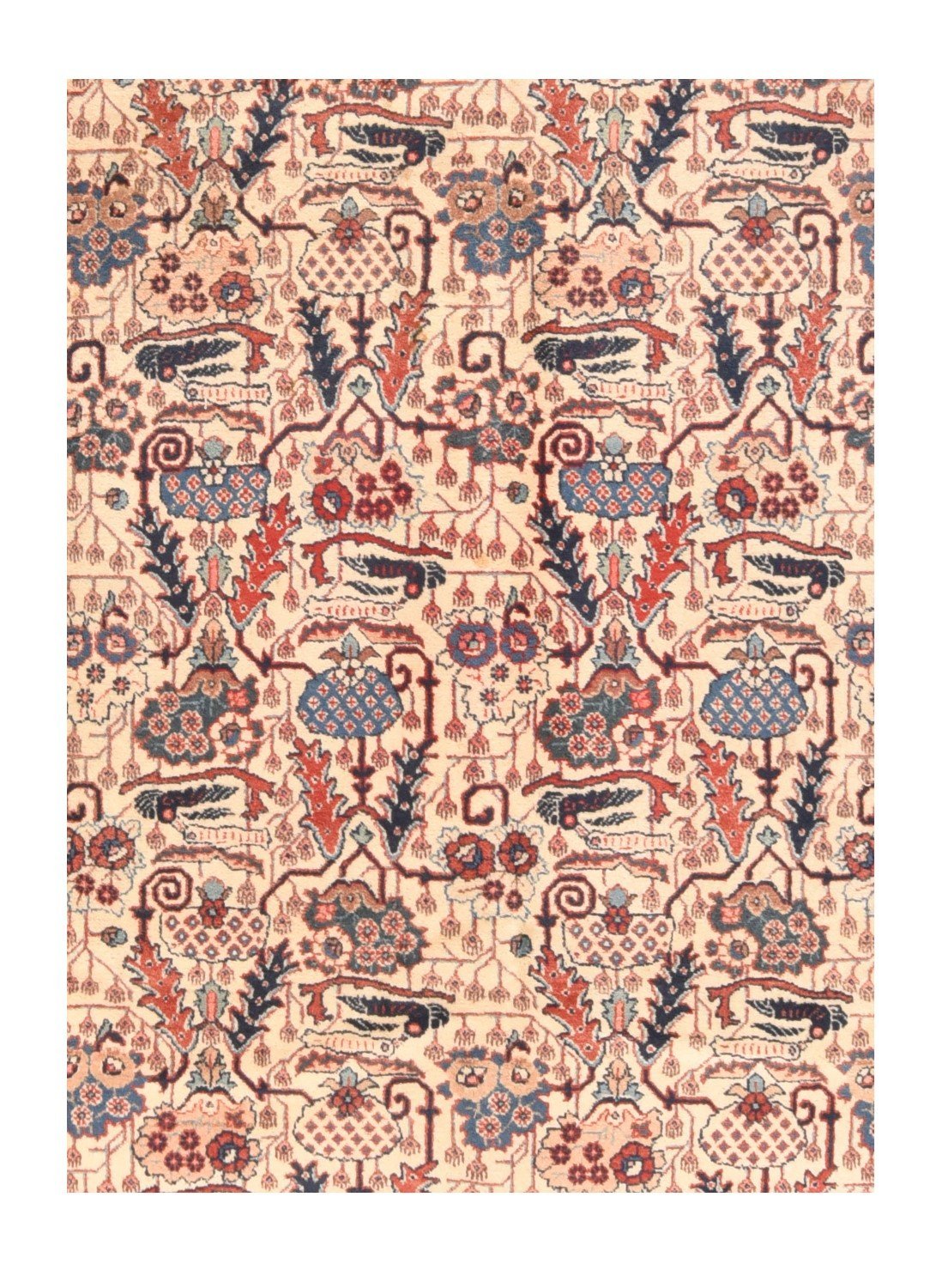 Area Rug 2069