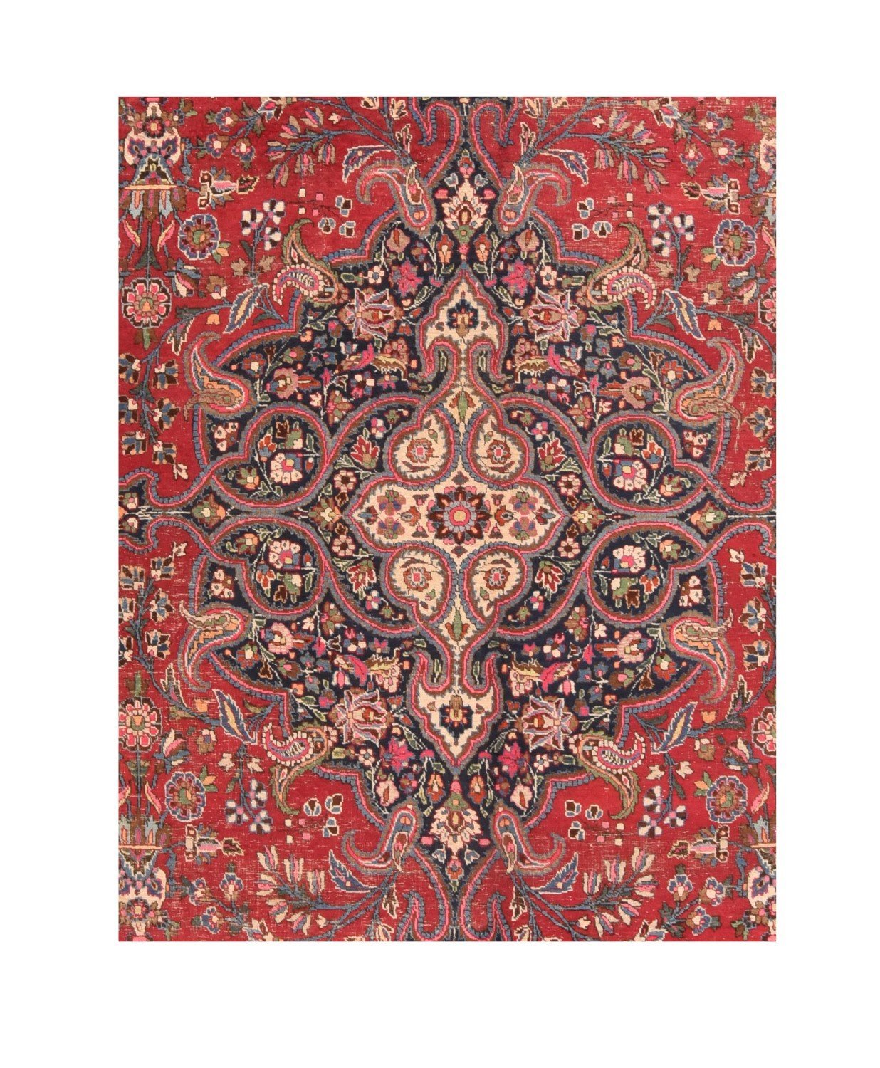 Area Rug 2076