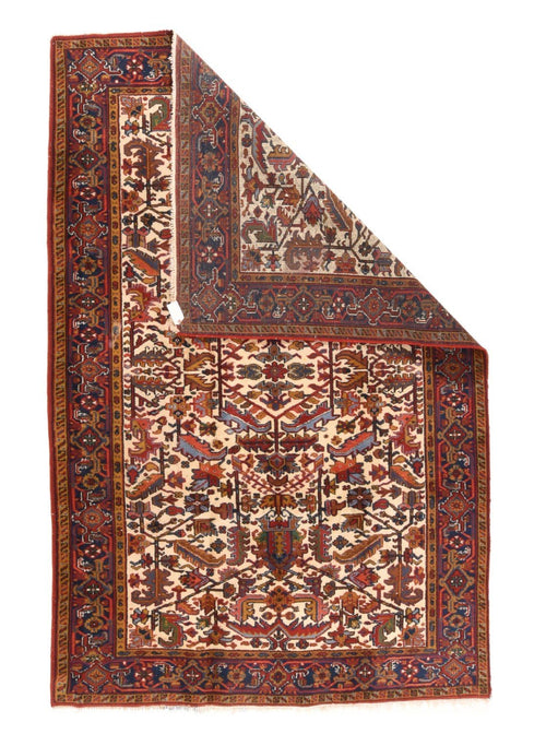 Area Rug 2109