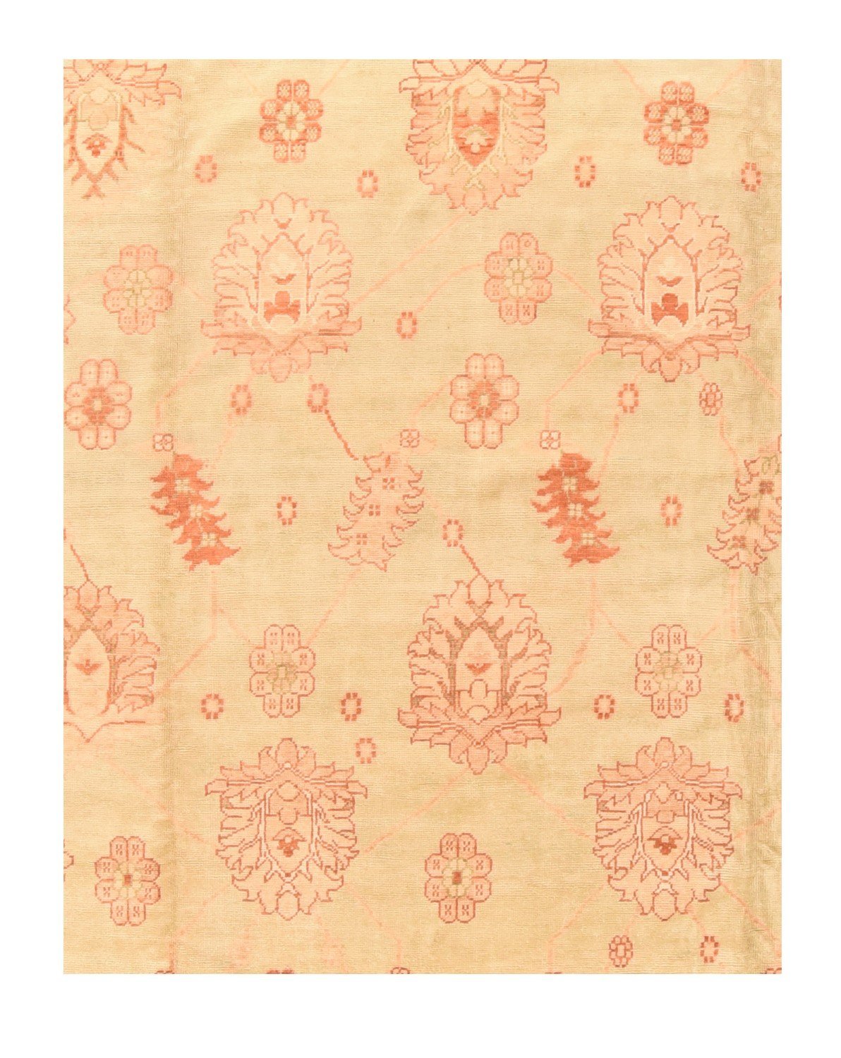 Area Rug 2137