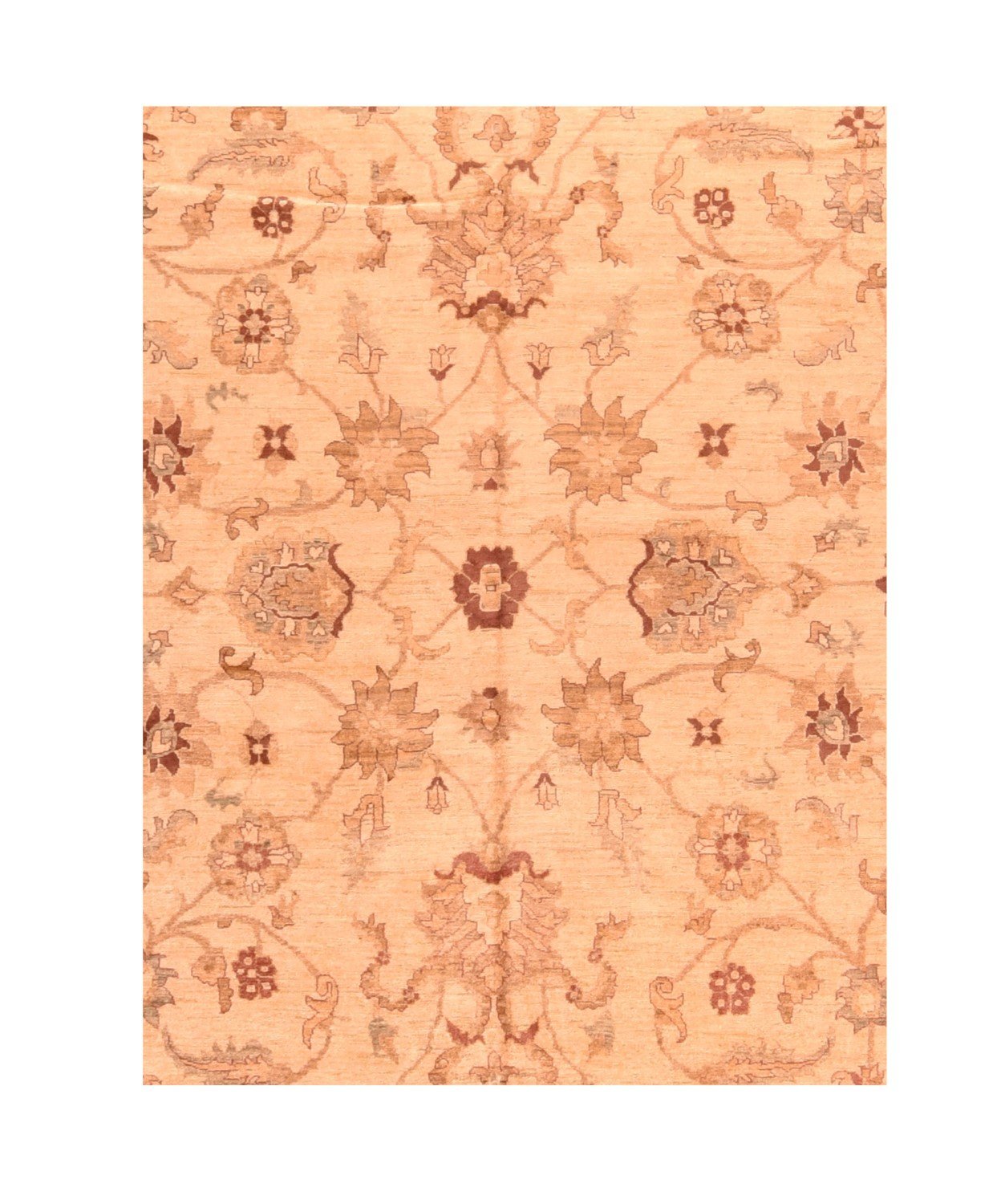 Area Rug 2162