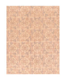 Area Rug 2203