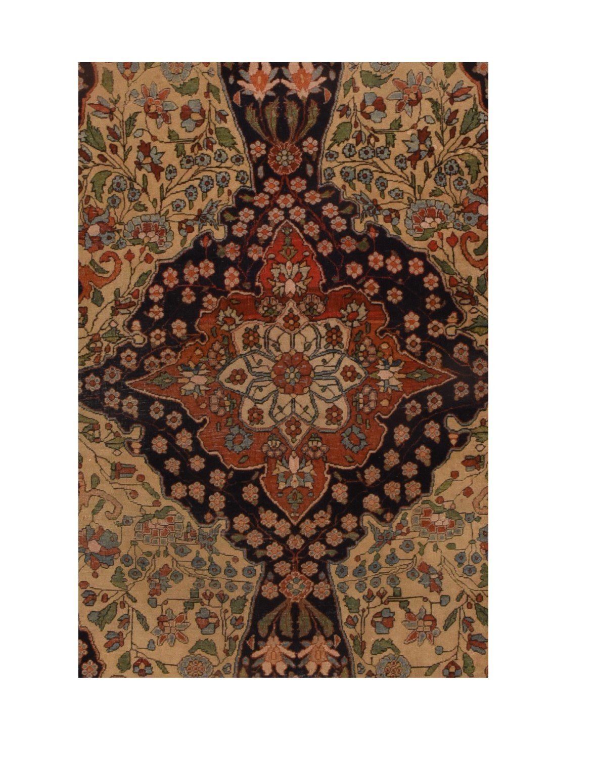 Area Rug 2211