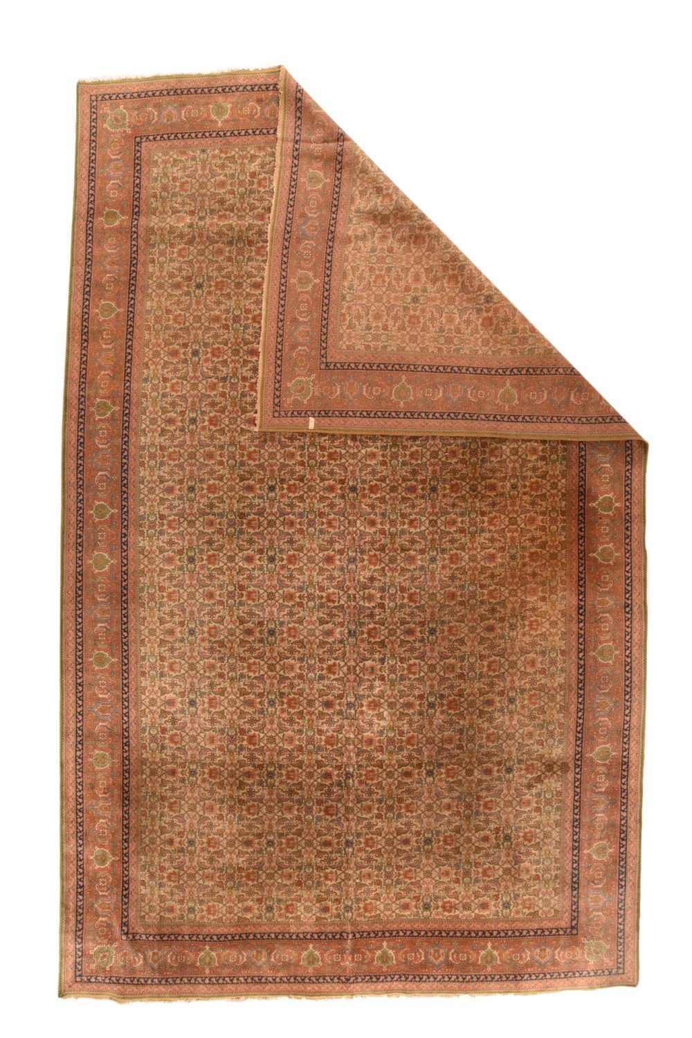 Area Rug 2258