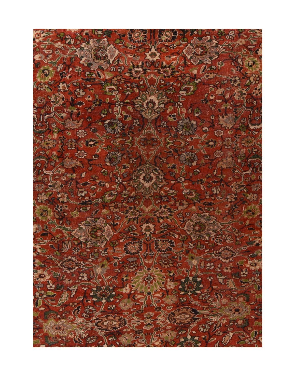 Area Rug 2276