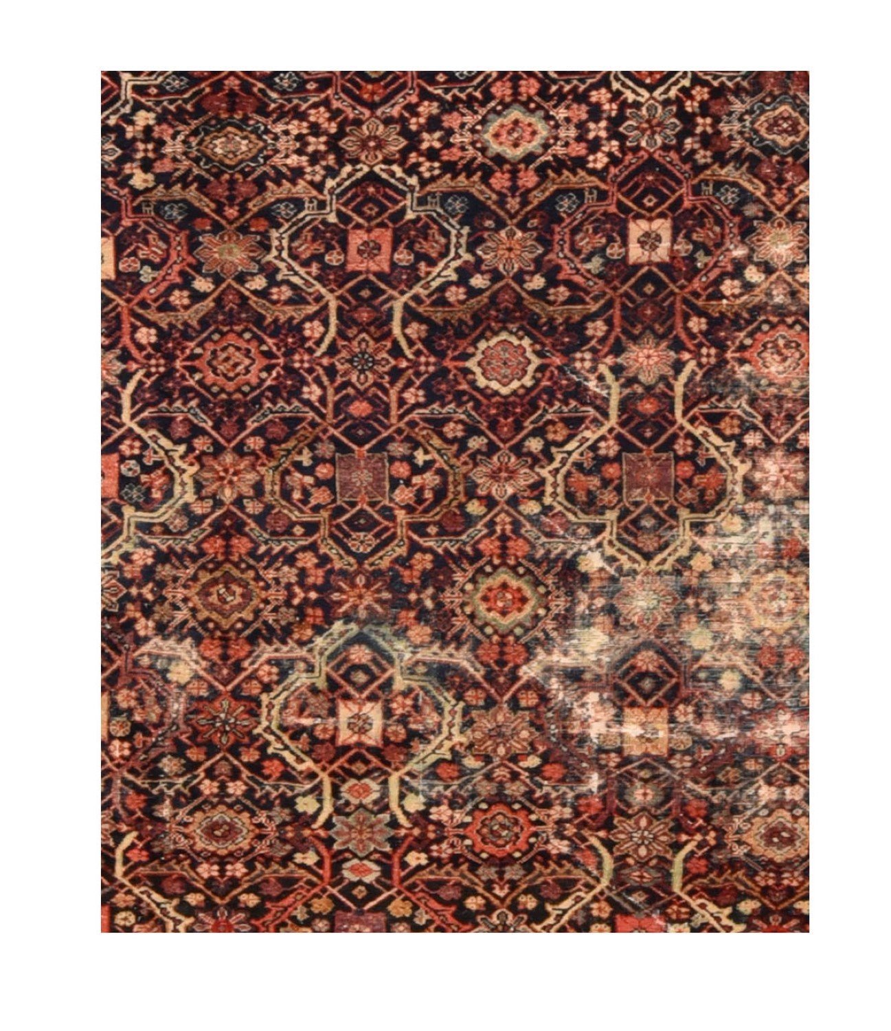 Area Rug 2292