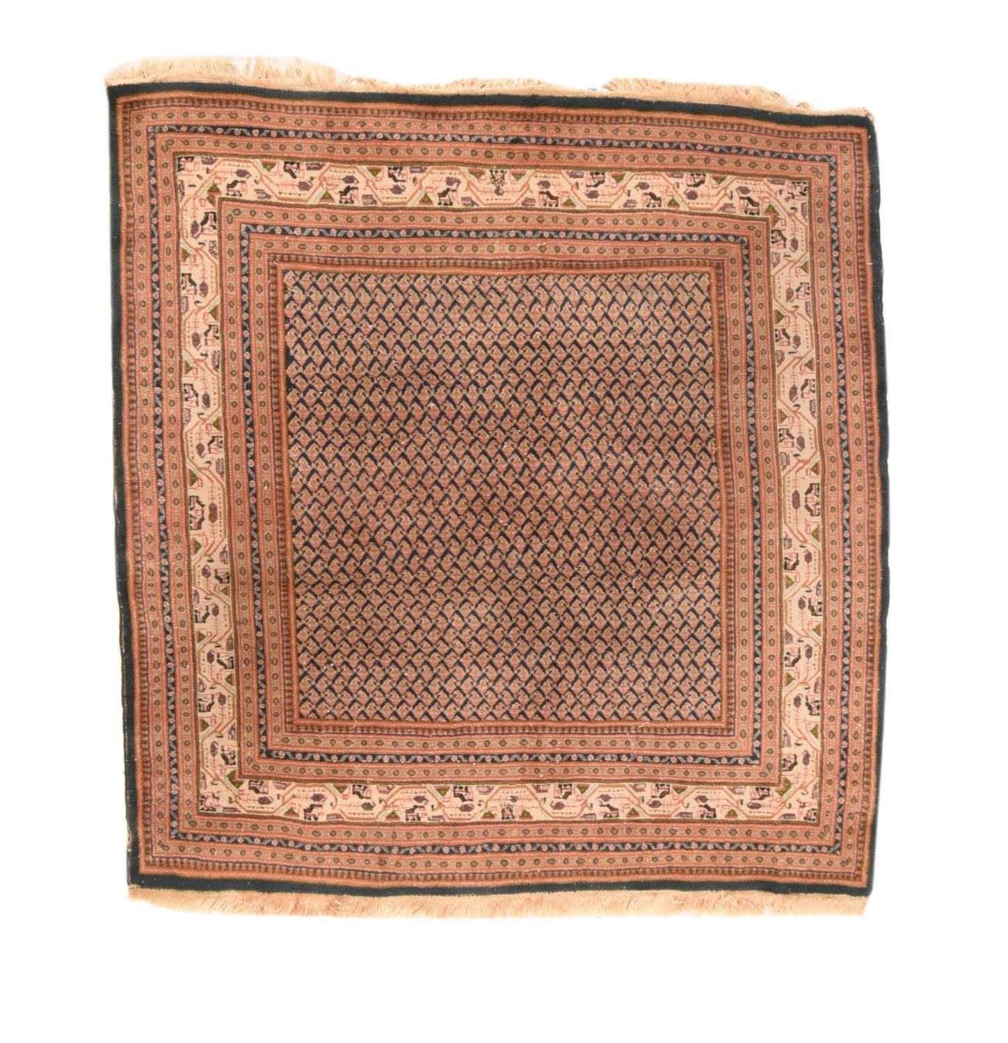 Area Rug 2312