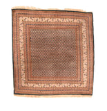 Area Rug 2312