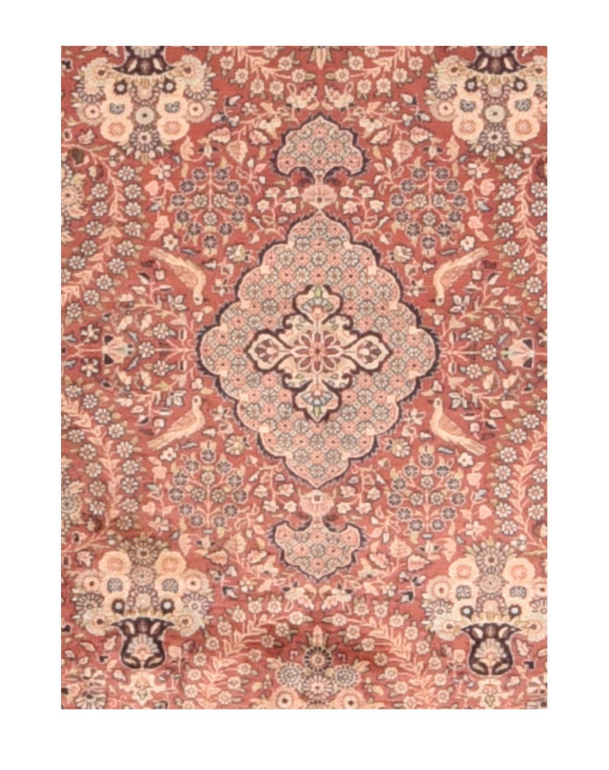 Area Rug 2315