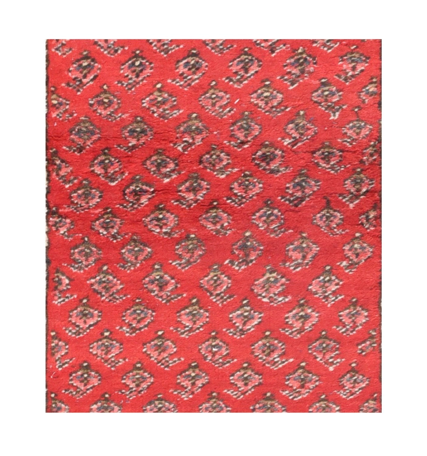 Area Rug 2353