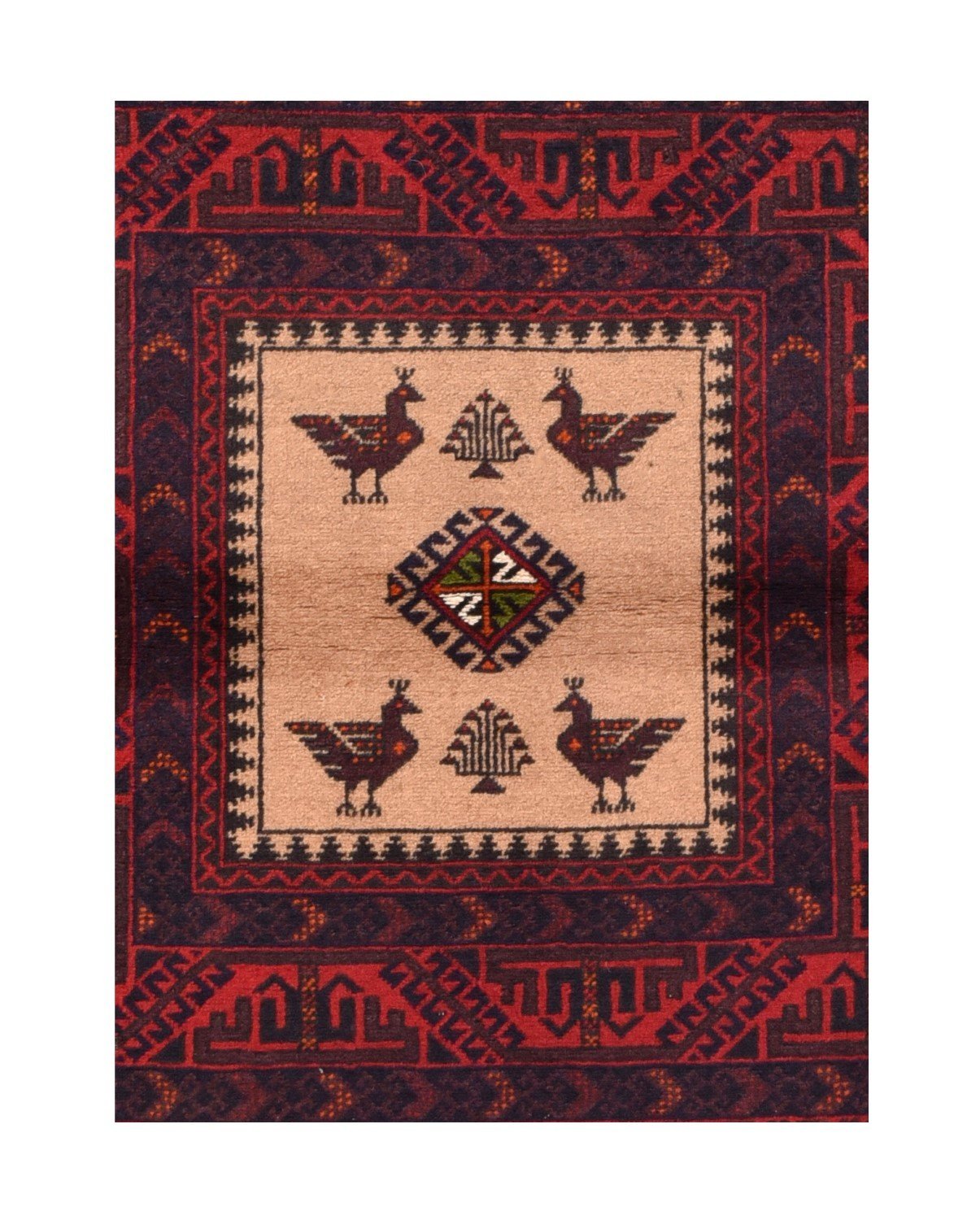 Area Rug 2378